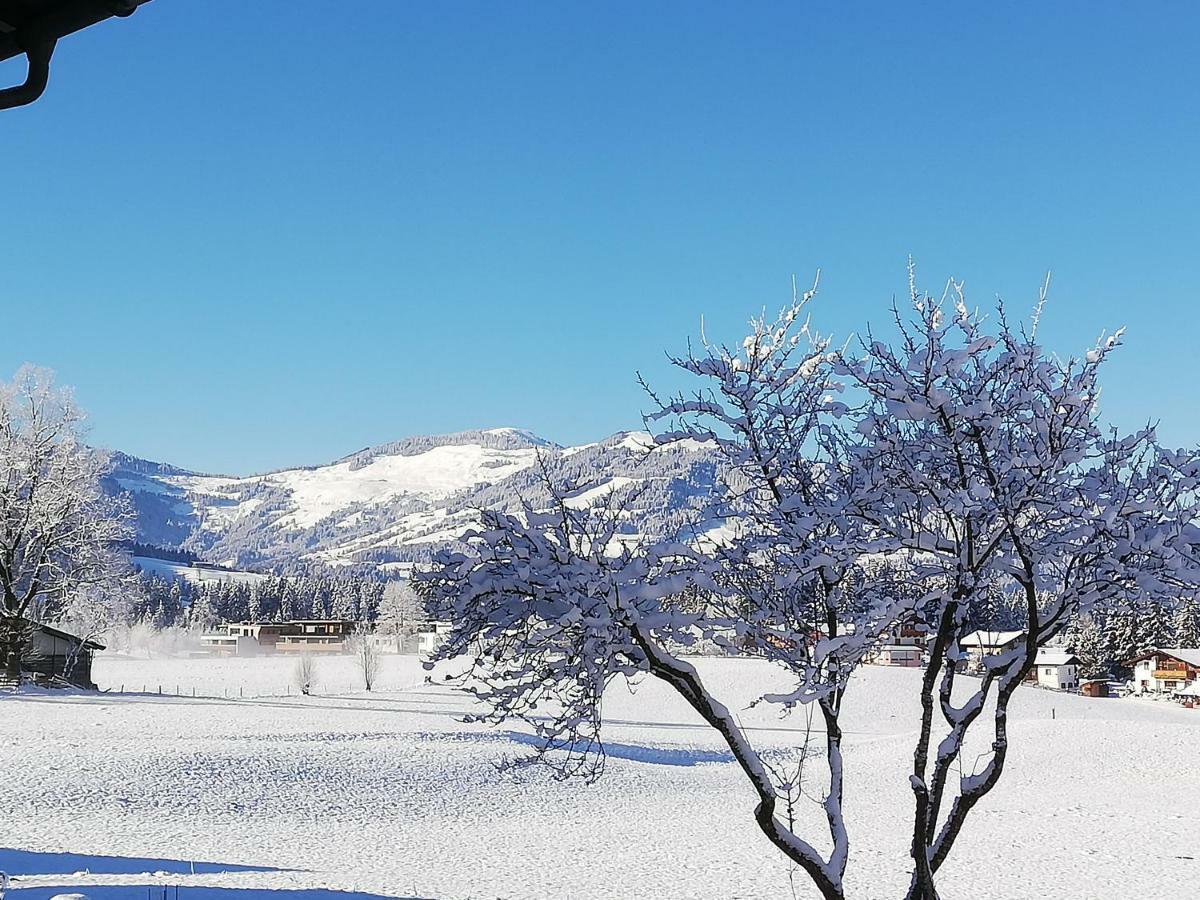 Appartement Holaus Westendorf Eksteriør billede